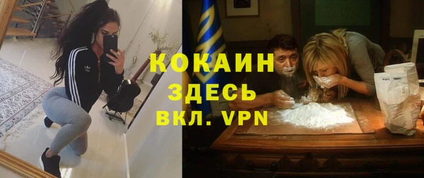 прущий лед Алзамай
