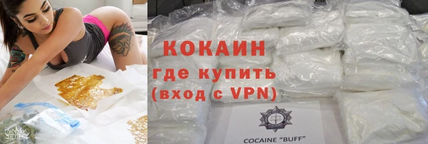 прущий лед Алзамай