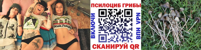 Псилоцибиновые грибы мухоморы  где купить наркотик  Орлов 
